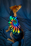 Midnight Rainbow Swirl Dog or Cat Tshirts