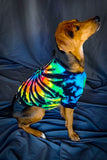 Midnight Rainbow Swirl Dog or Cat Tshirts