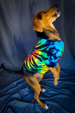 Midnight Rainbow Swirl Dog or Cat Tshirts