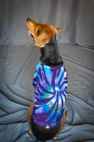 Electric Forest Swirl Dog or Cat Tshirts